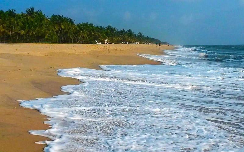 Marari Diya Homestay ماراريكولام المظهر الخارجي الصورة